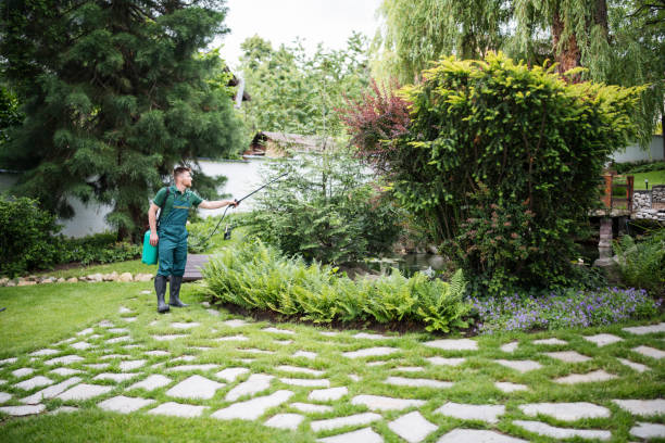 Wasp Removal Services in Charlestown, IN