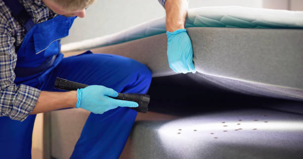 Best Wasp Removal Services  in Charlestown, IN