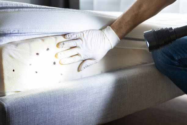 Best Ant Control Services  in Charlestown, IN