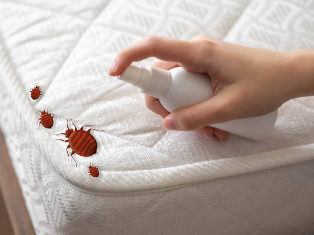 Best Pest Inspection Near Me  in Charlestown, IN