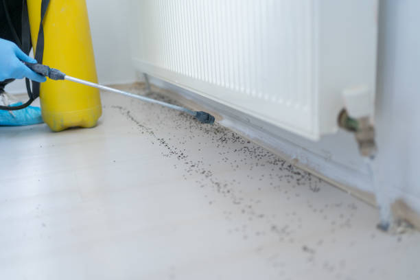 Pest Control for Restaurants in Charlestown, IN