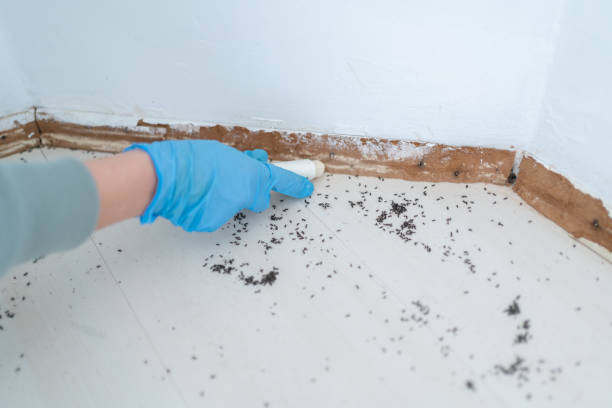 Best Pest Control for Restaurants  in Charlestown, IN
