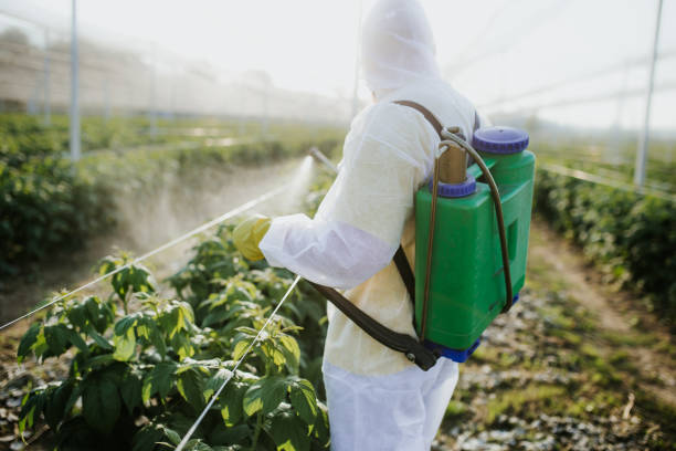 Best Wildlife Control Services  in Charlestown, IN